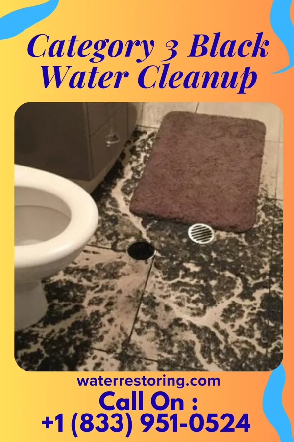 Category 3 Black Water Cleanup in Donnelsville, OH