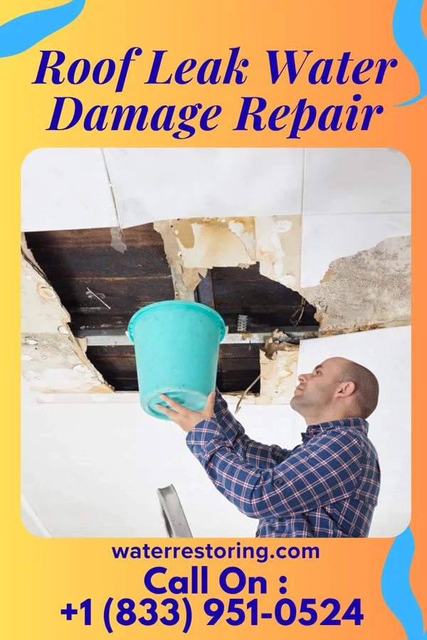 Roof Leak Water Damage Repair in Donnelsville, OH